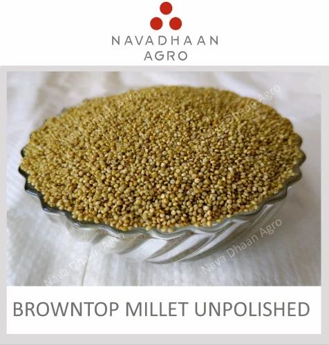 Browntop Millet - Unpolished Sortex Quality, For Human Consumption