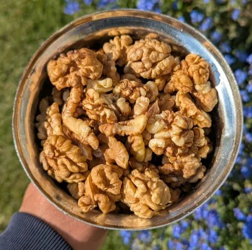Kashmiri Walnut Kernels