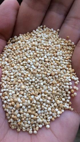 25 Kg Organic Whole Jowar Seed