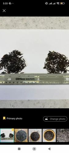 Imported wild rice/bulk quantity also available