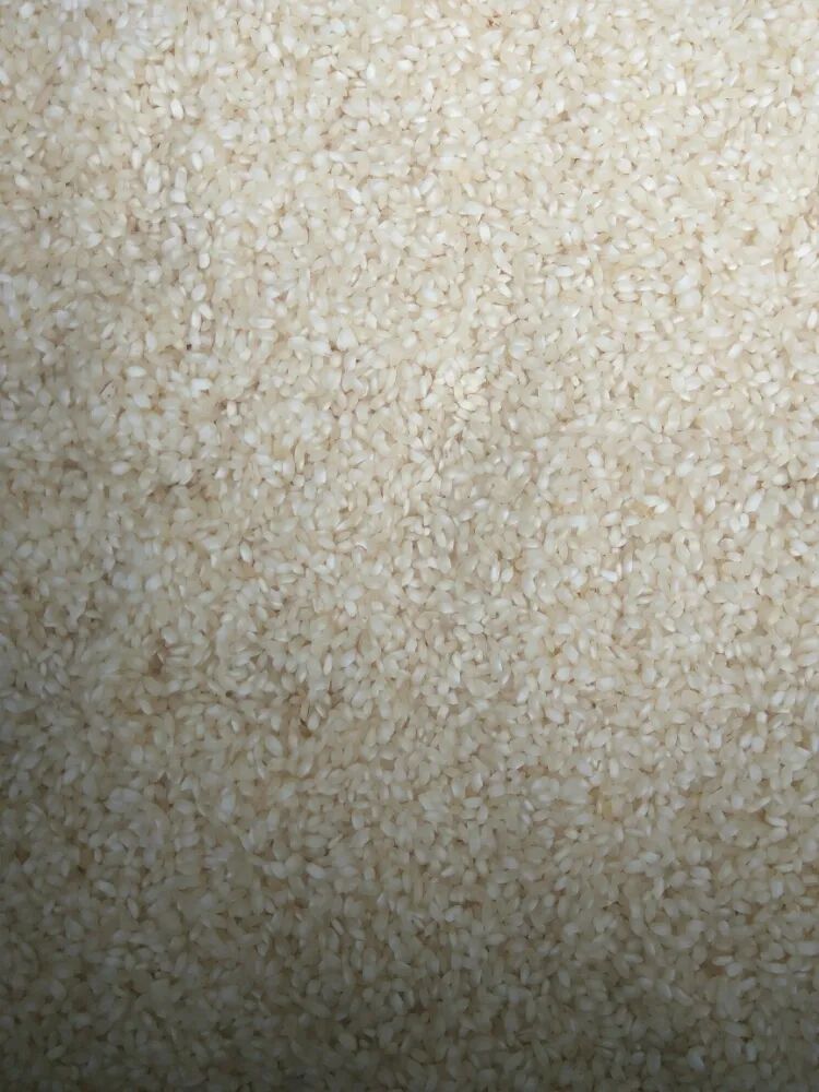 Arborio Rice