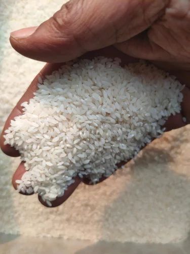 Premium Jeerakasala Rice