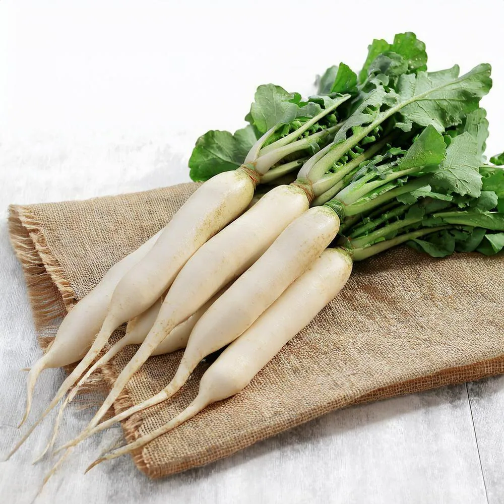 Radish
