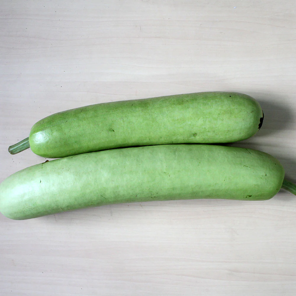 Bottle Gourd