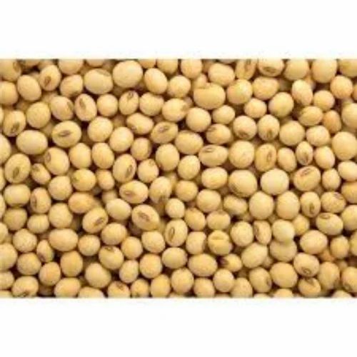 Brown Organic Soybean