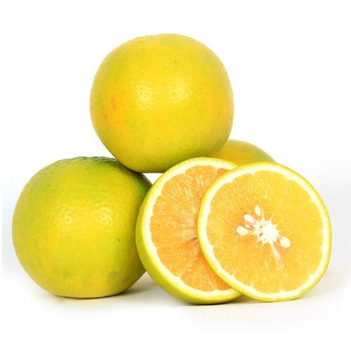 Fresh Mosambi