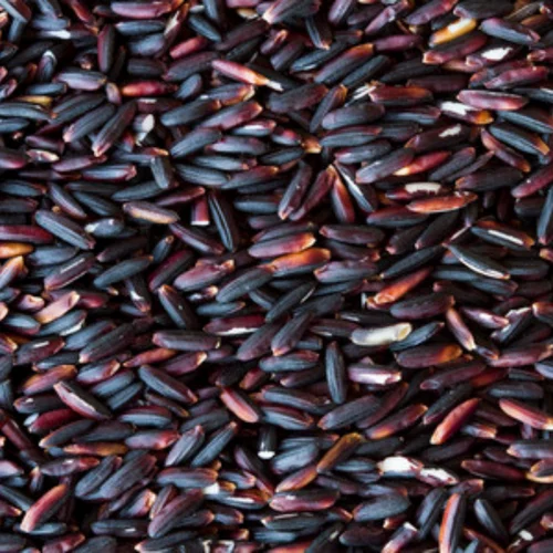 Organic Black Sticky Rice (Loose)