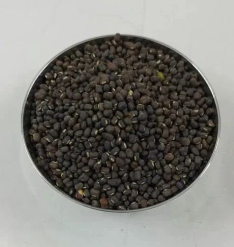Organic Whole Black Urad Dal, Dried