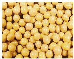 Organic Soybeans