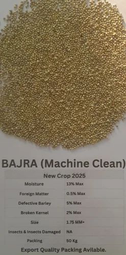 Grain (Dana) Bajra ( Machine Cleaned ), Grade: Food Grade