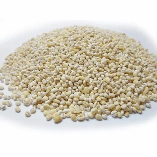 White Pearl Barley Grain, High in Protein