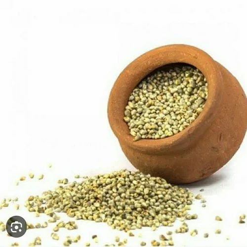 Bajra Millet. 500 Gm