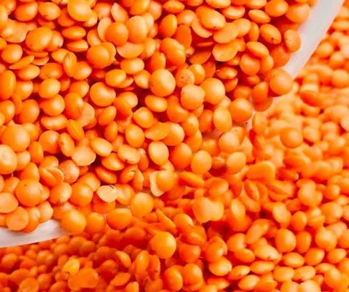 Fresh Masoor Dal, Dried