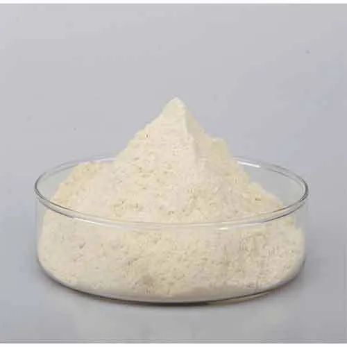 EKLAVYA BIOTECH Indian Wheat Gluten, 25 KGs Per Bag, Packaging Type: 25 KG Per Bag