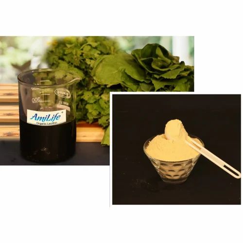 Amilife Organic Soya Lecithin Powder, 1 kg
