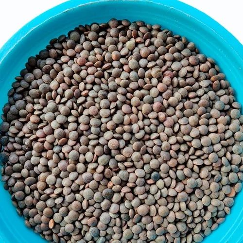 Black Whole Masoor Dal (Medium Grain)