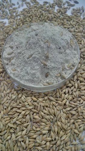 Malt Flour