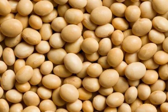 Organic Soybean