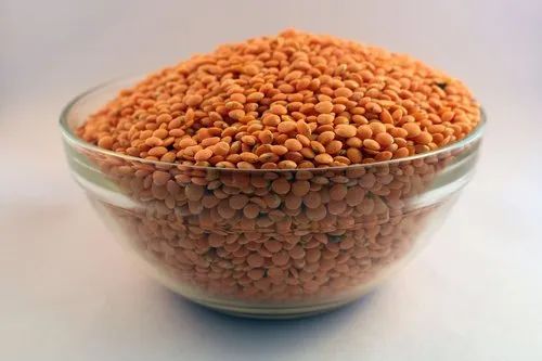 Organic Whole Red Lentils