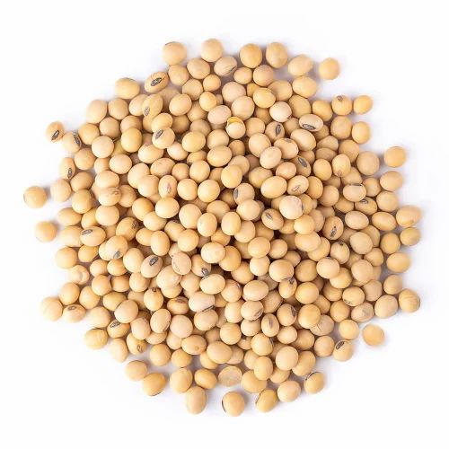 Yellow Organic Soybean