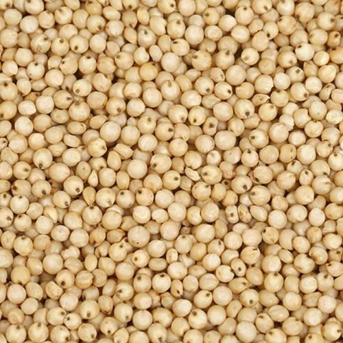 White Sorghum Seeds, Loose