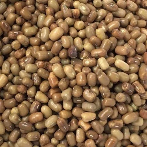 Brown Moth Dal Wholesale Supplier Delhi Premium Moth Dal Bulk Price, Loose