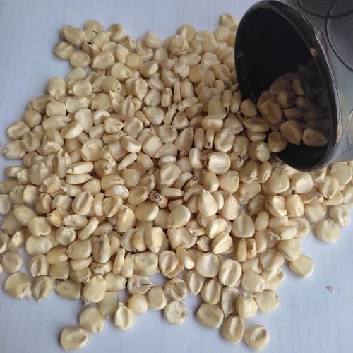 Hybrid Whole White Maize, 50 Kg, High in Protein