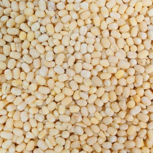 Organic Whole White Urad Dal, Raw