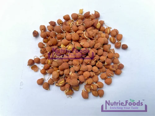 Chana Dehydrated Sprouted Pulses, Nutriefoods, High in Protein
