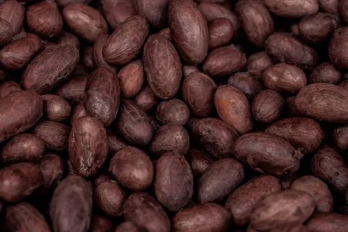 Brown Organic Dried French Beans