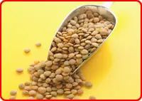 Regular Lentils