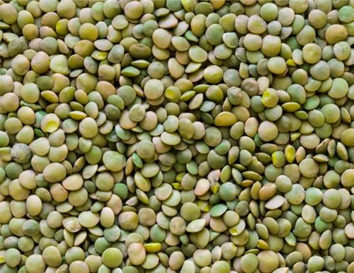 Moong Green Lentil, Aashirvad, Packaging Size: 500 g