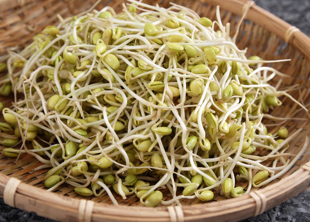 Soybean Sprout