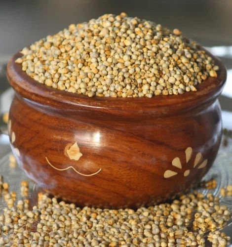 Grain (Dana) 50 Kg Indian Pearl Millet Bajra, Grade: Food Grade