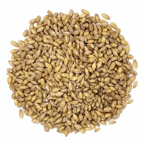 Hulled Barley, For Human Consumption