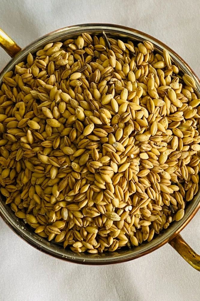 Hulled Barley