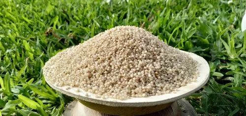 Barnyard Millet grains, Packaging Size: 30 Kg, Unpolished