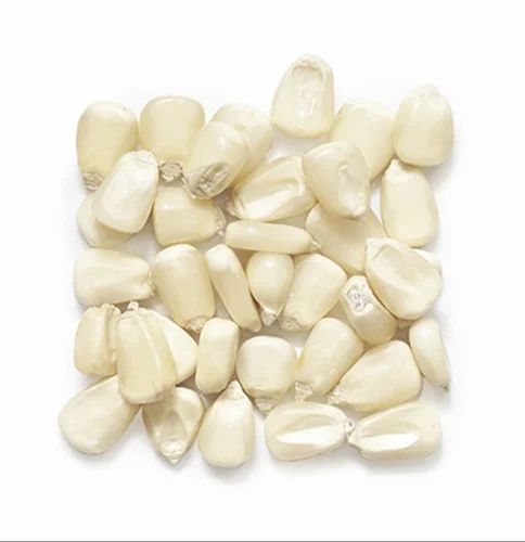 Hybrid White Maize, 50 Kg