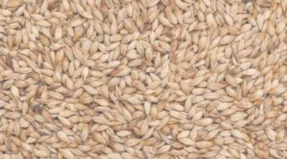Yellow Chateau Arome Malt, 25 Kg