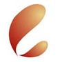 Classic The Fashion Hub logo